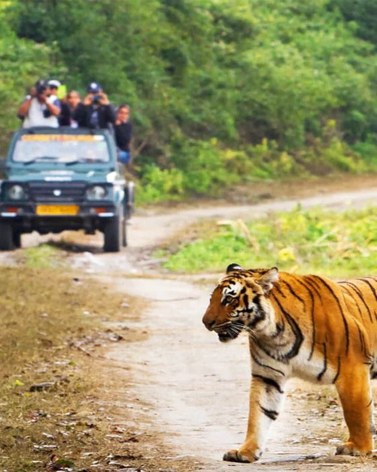 Jim-Corbett-National-Park-Tour